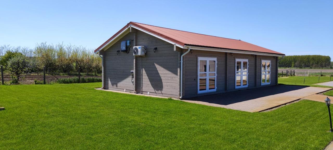 Village Garden Family Guest House Tiszakanyár Eksteriør billede